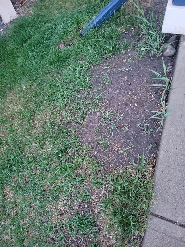 Photo - commentaire&nbsp;4.