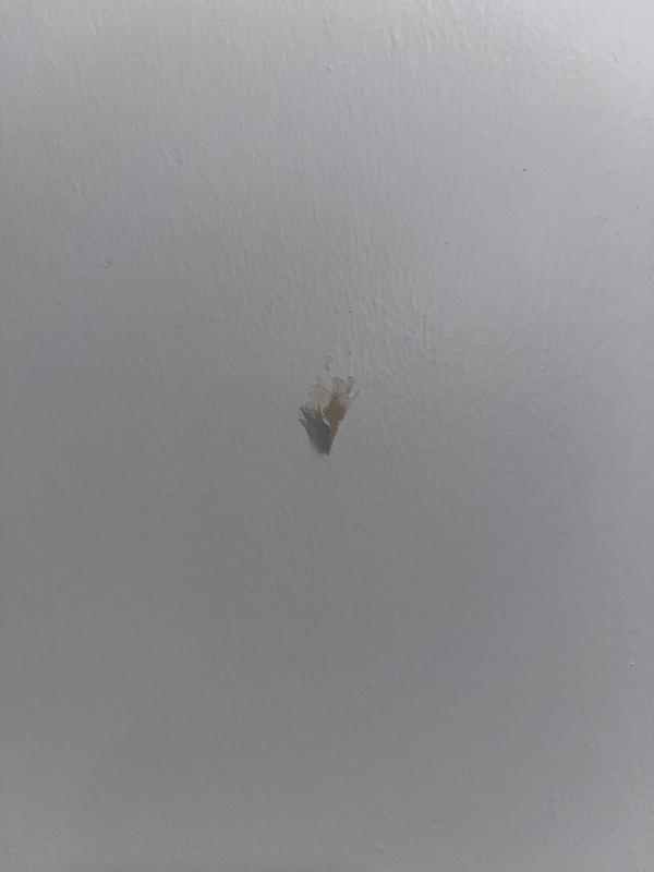 Photo - commentaire 3