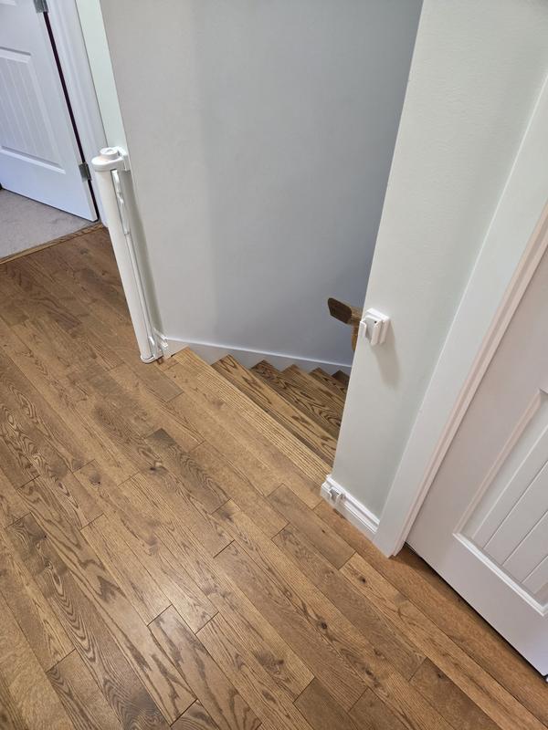 Photo - commentaire&nbsp;1.