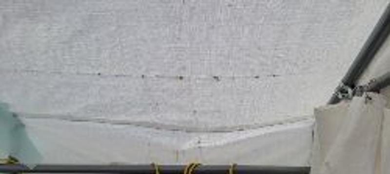 Photo - commentaire&nbsp;1.