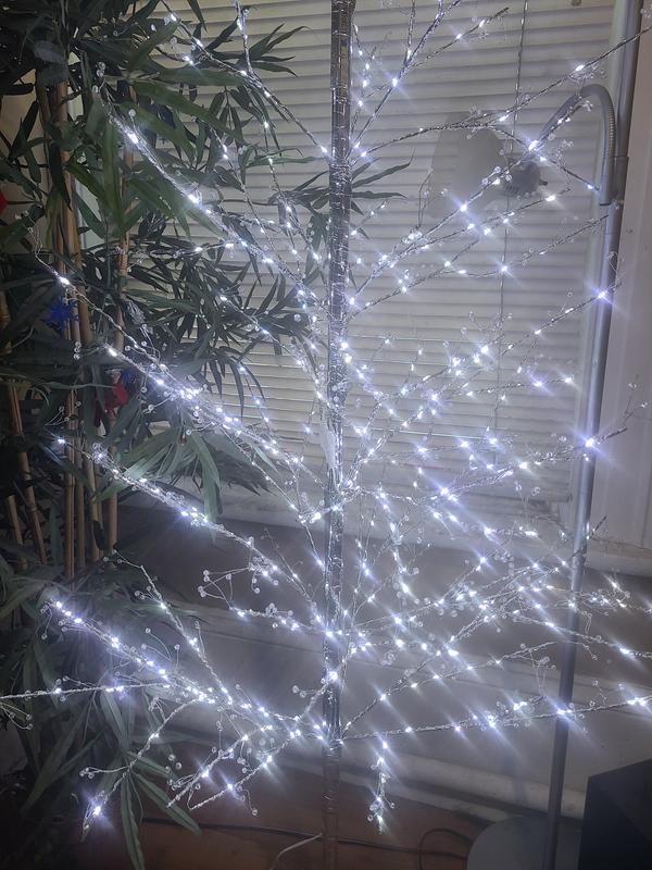 Photo - commentaire&nbsp;8.