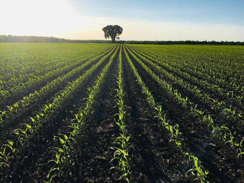 Photo - commentaire 3.