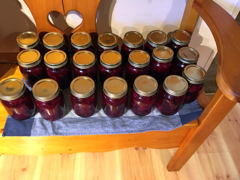 some of them processed