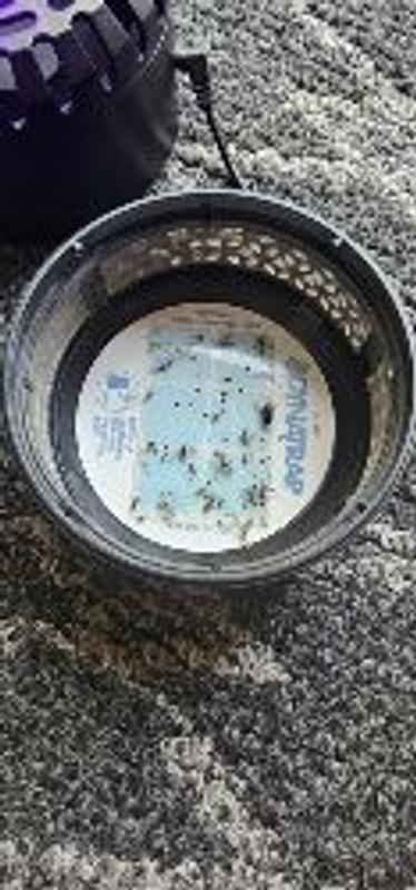 Photo - commentaire&nbsp;1.