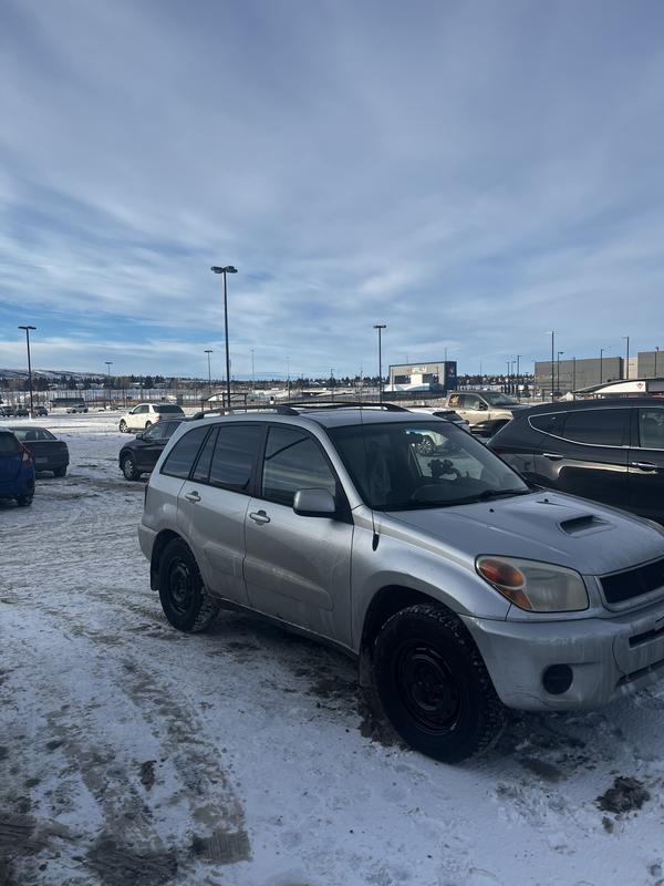 Photo - commentaire 8.