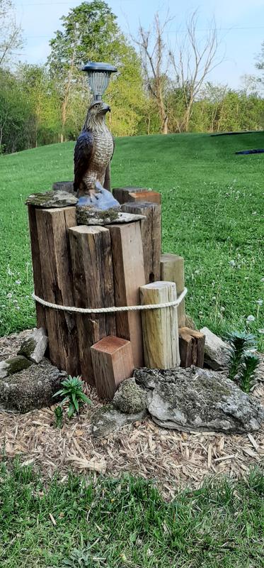 Photo - commentaire&nbsp;2.