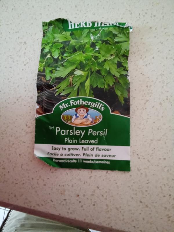 Photo - commentaire&nbsp;1.