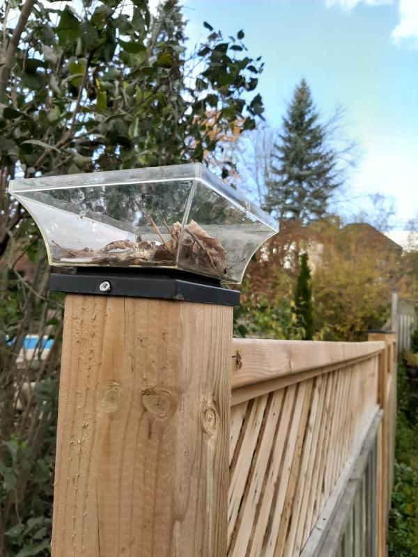 Photo - commentaire 2.