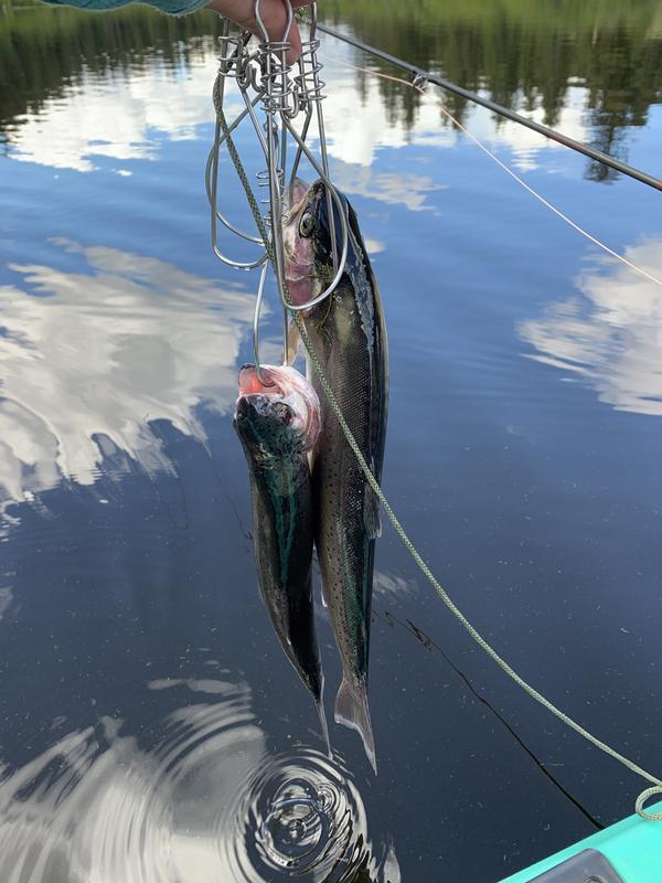 Photo - commentaire&nbsp;1.