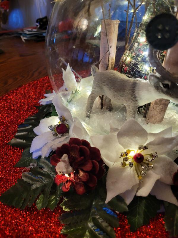 Photo - commentaire 4.