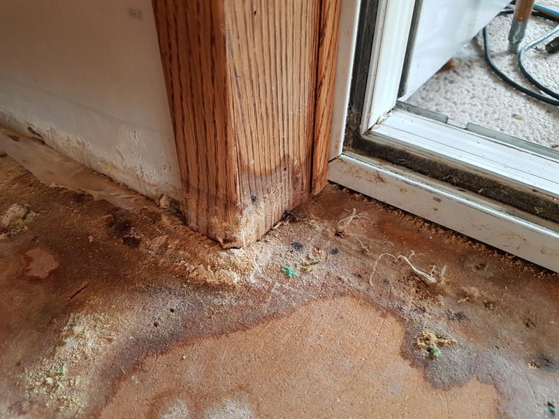 Patio window door jams cut off and under the window frame cut down to get the windows out