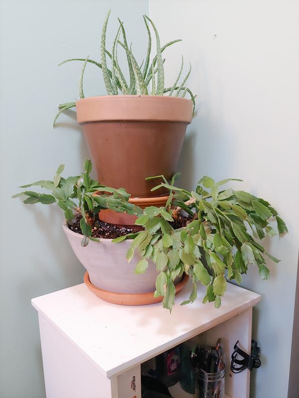 It's the bottom support pot.