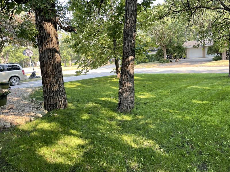 Photo - commentaire 3.