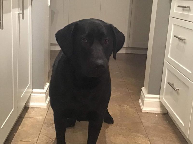 Photo - commentaire 3.