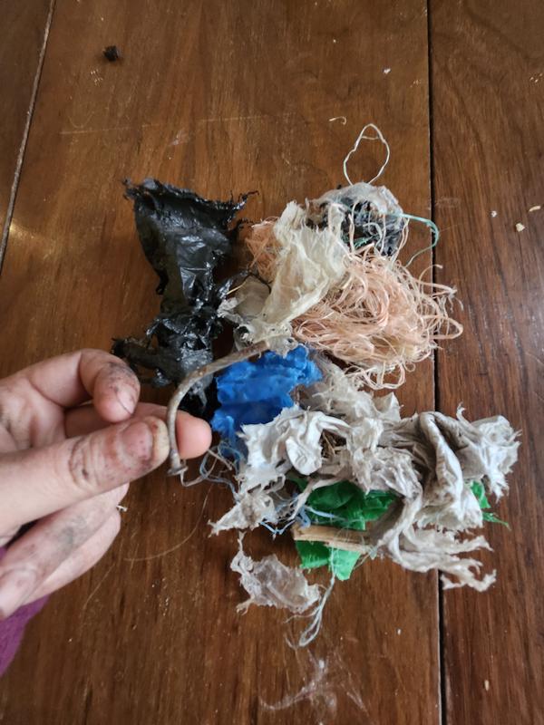 Photo - commentaire 4.