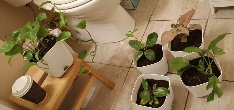 Photo - commentaire&nbsp;1.