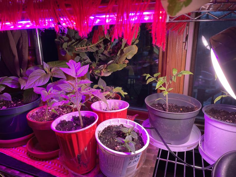 Photo - commentaire&nbsp;1.