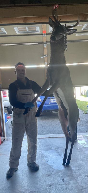 Photo - commentaire&nbsp;1.