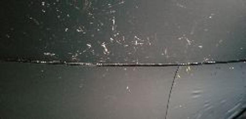 Photo - commentaire 3.