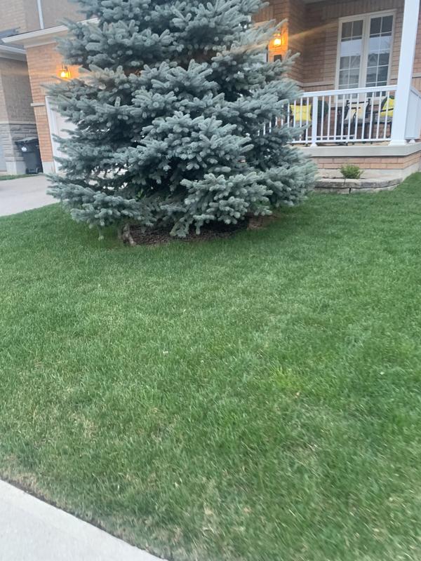 Photo - commentaire 1.