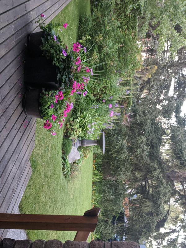 Looks good until winter.