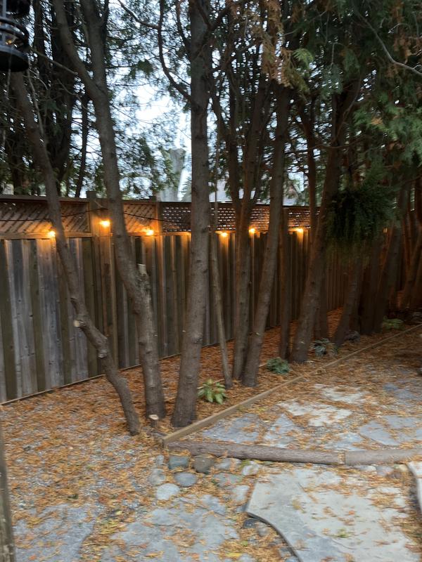 CANVAS Outdoor Warm White LED Solar Mayne Garden String Lights