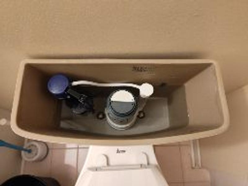 Photo - commentaire 4.