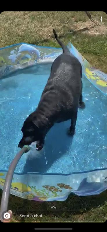 Photo - commentaire&nbsp;2.