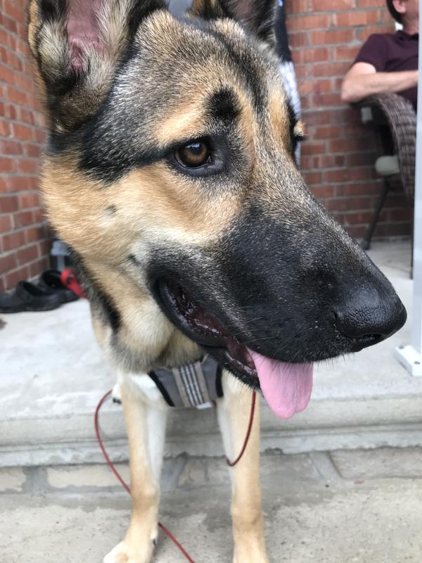 Photo - commentaire&nbsp;1.