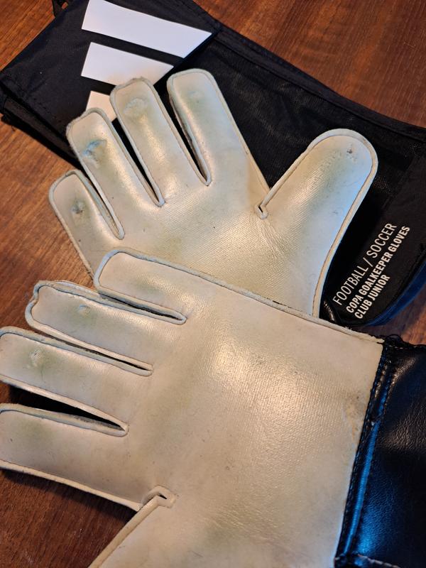 Photo - commentaire 3.