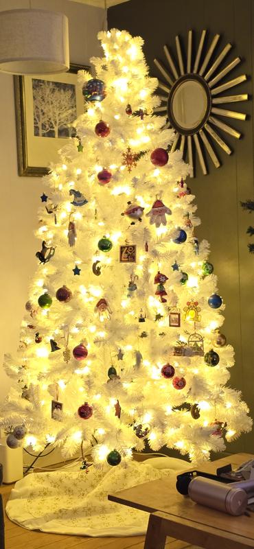 Photo - commentaire&nbsp;5.