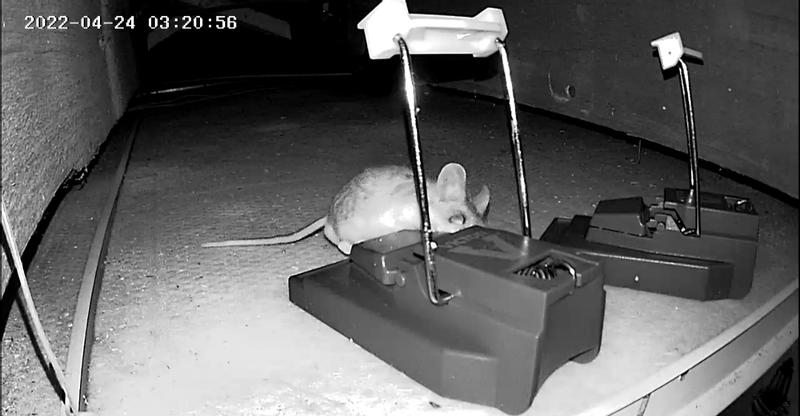 Photo - commentaire&nbsp;4.