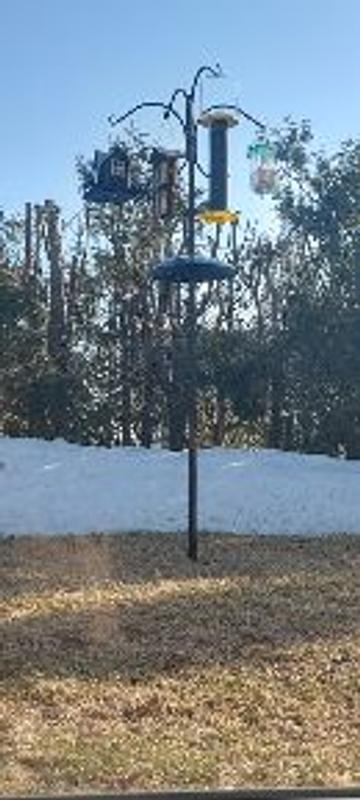 Photo - commentaire&nbsp;1.