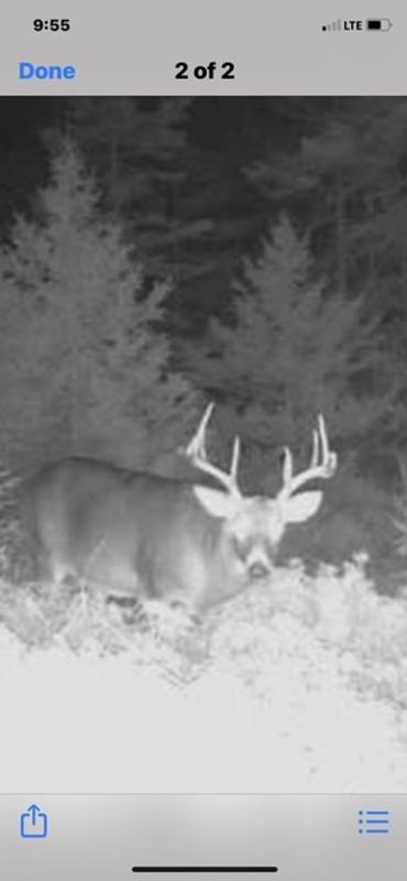 Photo - commentaire&nbsp;3.