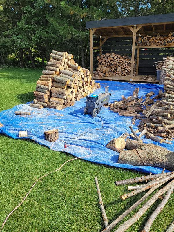 Photo - commentaire 7.