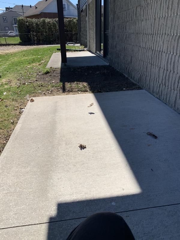 My patio soil to be used
