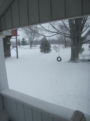 Winter wonder...where the lane is?