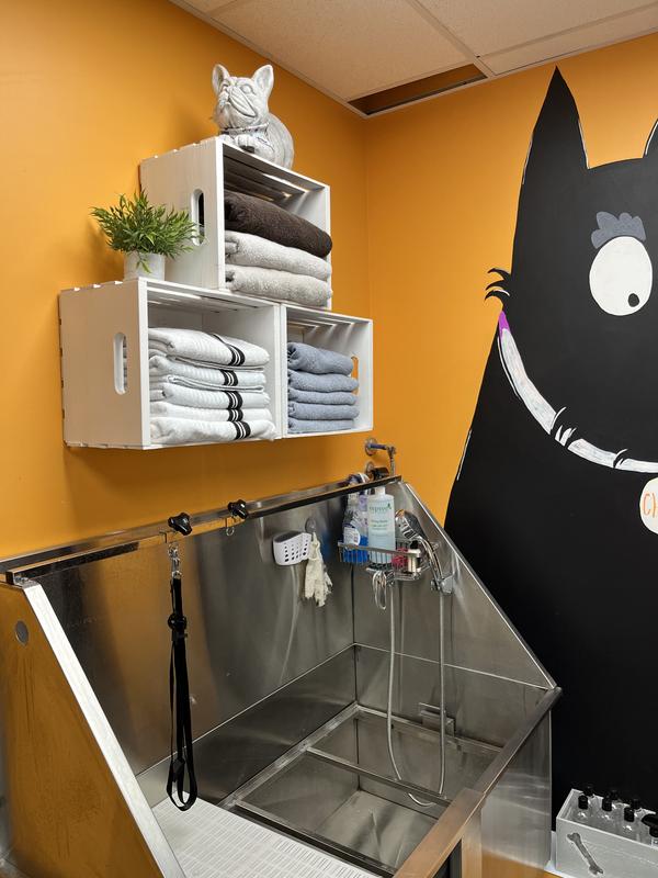 Photo - commentaire 2