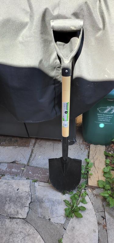 Photo - commentaire 3.