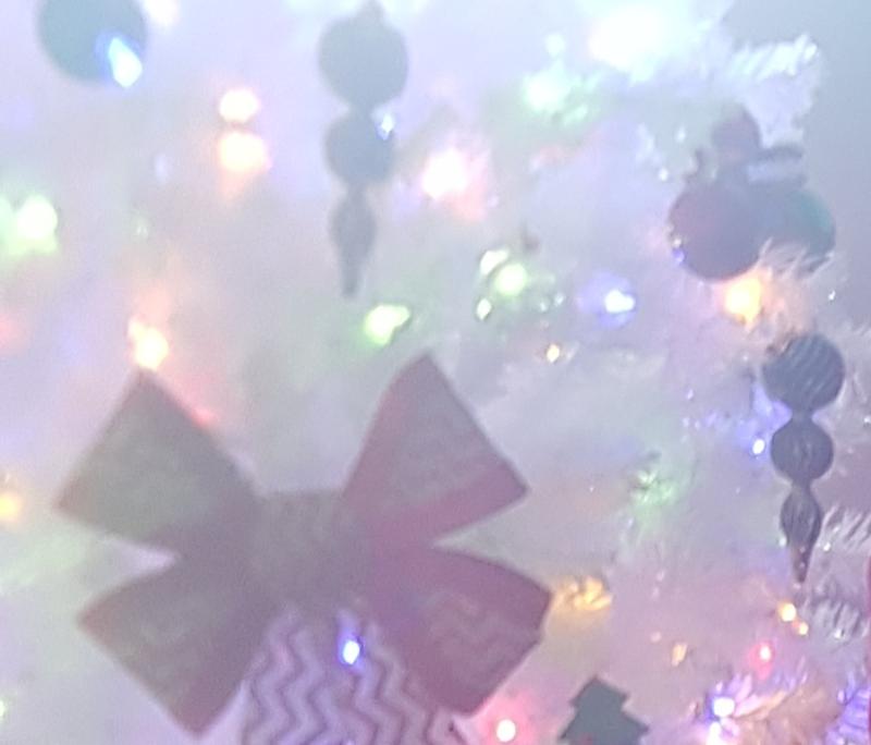 Photo - commentaire 7.