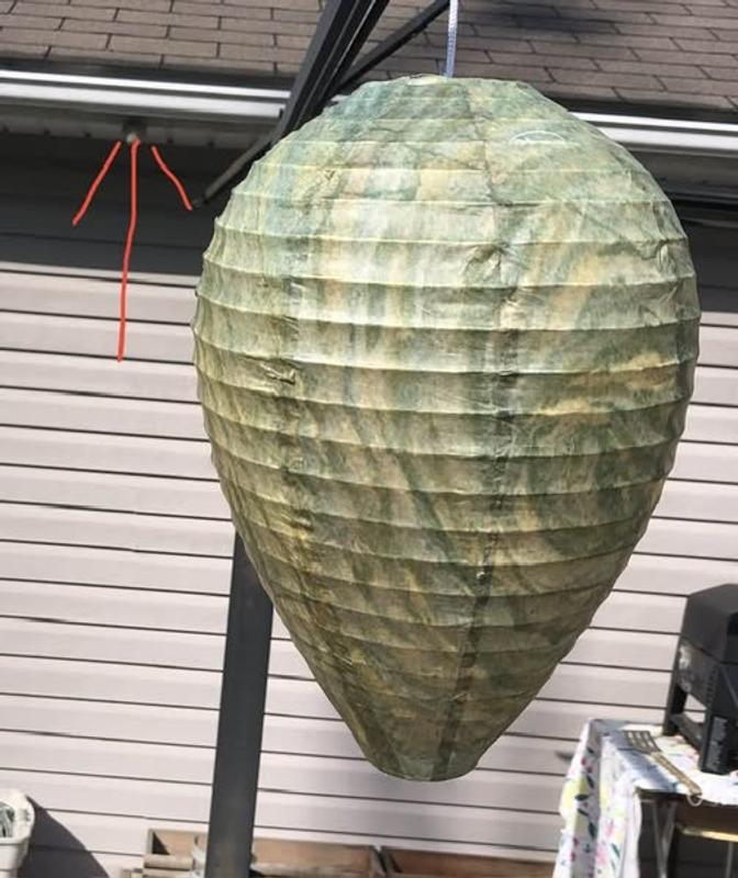 Note the arrow pointing to the new wasp nest in clear view of the "deterrent."   This appeared AFTER I put up the "deterrent."