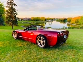 Great mirror shine on my corvette