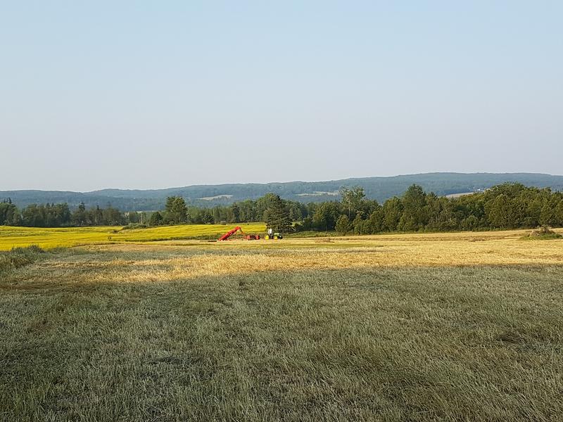 Photo - commentaire 1.