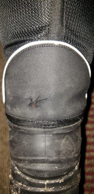 Photo - commentaire 2.