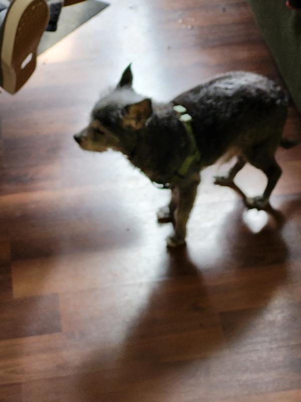 Photo - commentaire 1.