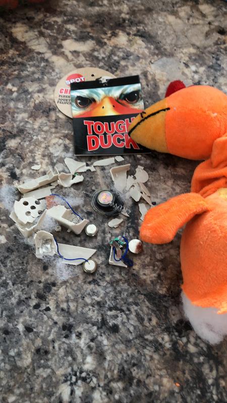 Toy parts