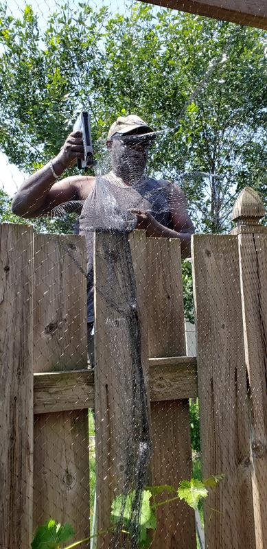 Photo - commentaire&nbsp;6.