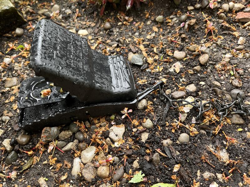 Photo - commentaire 1.