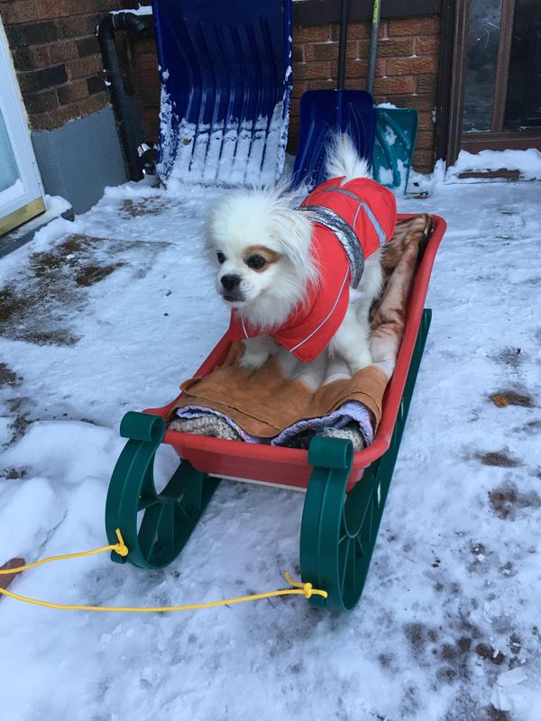 Photo - commentaire&nbsp;1.