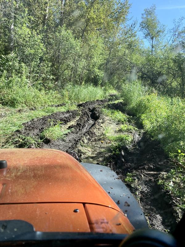 Ovi loves the mud. But he never helps clean up the mud. But you know who does??? ARMOR ALL gets the gosh darn job clean. And the Jeep looks killer when I’m all done!